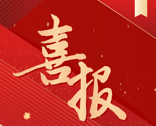 喜報！我院師生在2024一帶一路暨金磚國家技能發(fā)展與技術(shù)創(chuàng)新大賽中榮獲佳績